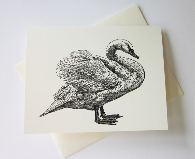 Swan Note Cards Set of 10 with Matching Envelopes image 1