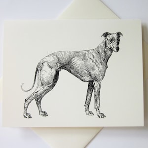 Greyhound Dog Note Cards Ensemble de 10 avec enveloppes assorties