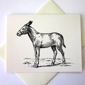 Donkey Burro Nota Cards Papelería Set de 10 cartas en blanco o marfil claro con sobres a juego