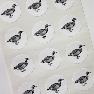 Mallard Duck Stickers One Inch Round Seals
