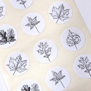 May include: A sheet of white paper with ten round stickers featuring black and white line drawings of various leaves. The leaves include maple, oak, and other types of leaves.