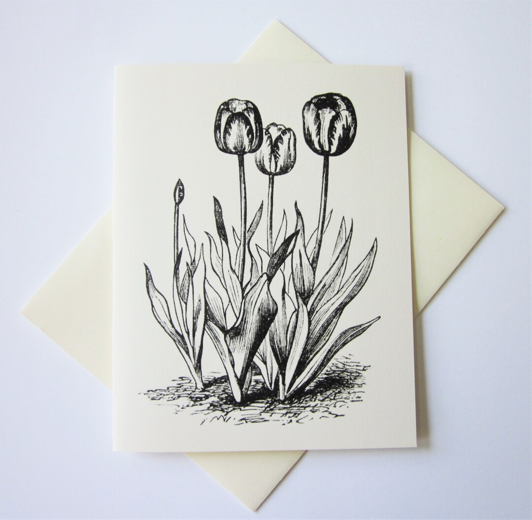 Tulips Note Tulips Flower Floral Note Cards Stationery Set of 10 Cards in White or ...