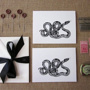 Conjunto de 10 cartões de notas de cobra com envelopes correspondentes