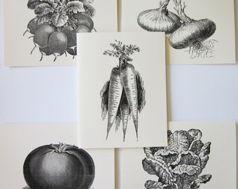 Vegetable Note Cards Set of 10 with Matching Envelopes