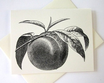 Peach Fruit Cards Set of 10 in White or Light Ivory with Matching Envelopes