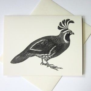 Kwartel Bird Note Cards Set van 10 met bijpassende enveloppen
