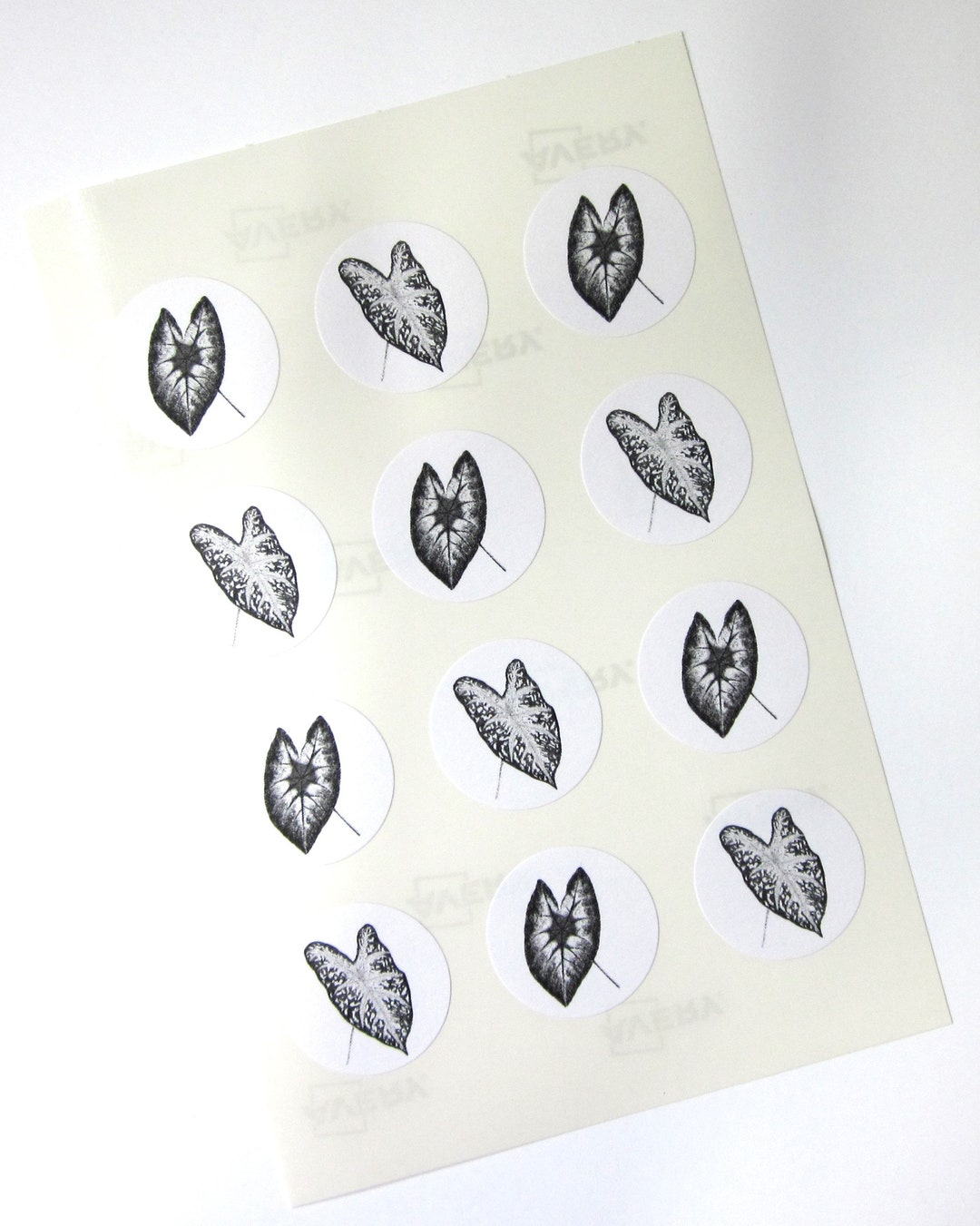 Caladium Leaf Elephant Ears Stickers One Inch Round Seals - Etsy