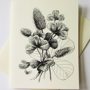 Clover Note Cards Papelería Set de 10 Cartas en Blanco o Marfil Ligero con Sobres a Juego