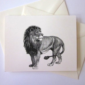 Jeu de cartes Lion Note de 10 avec enveloppes assorties