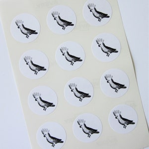 Cockatoo Stickers One Inch Round Seals
