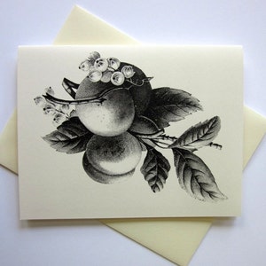 Set di carte di frutta pesca di 10 in bianco o avorio chiaro con buste abbinate