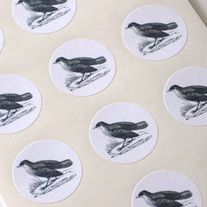 Bird Stickers One Inch Round Seals