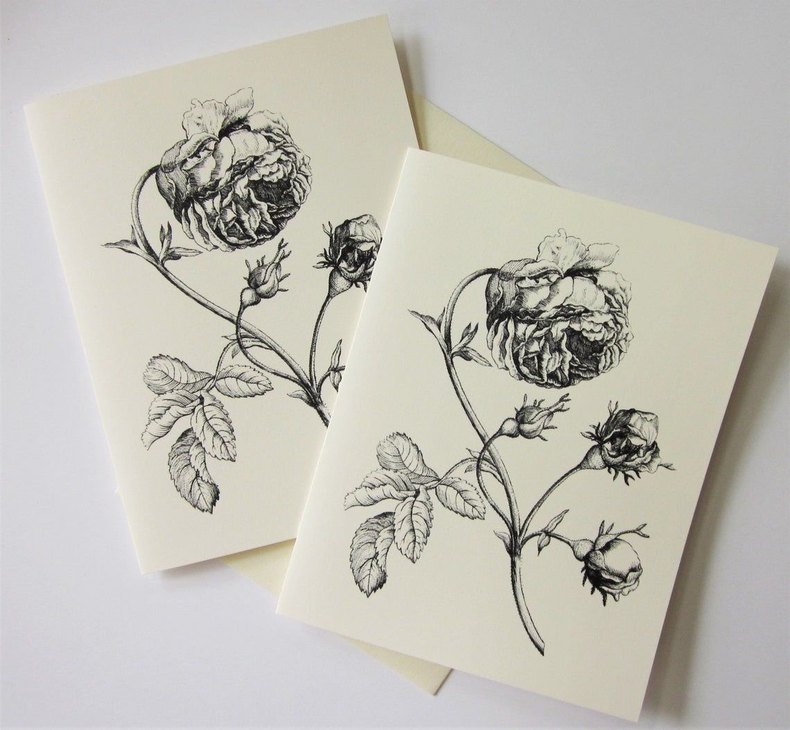 Peony Flower Note Cards Stationery Set of 10 Cards in White or Light ...