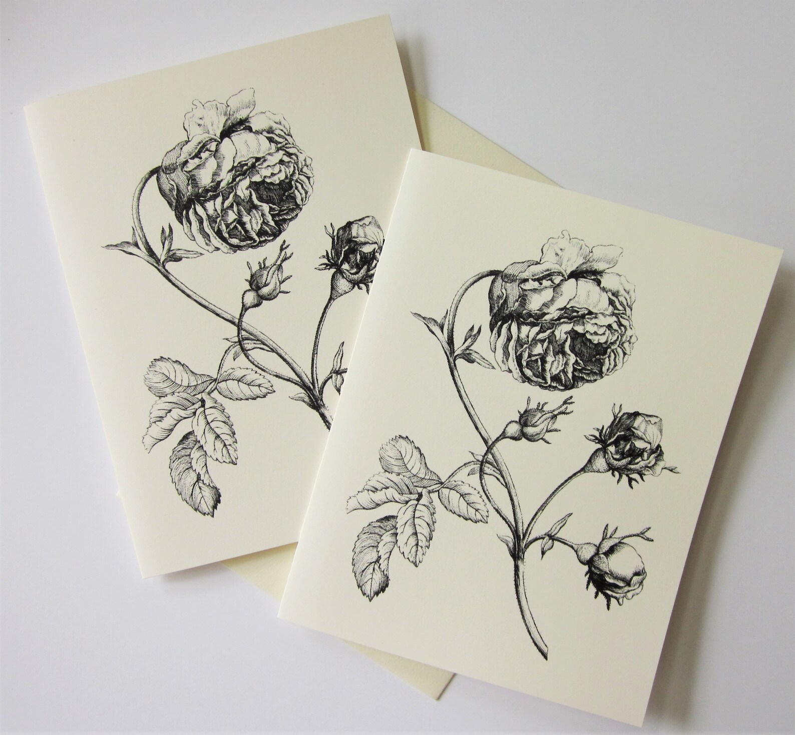 Peony Flower Note Cards Stationery Set of 10 Cards in White or Light ...