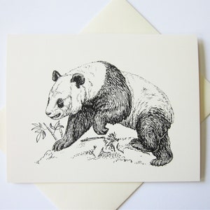 Panda Note Cards Set van 10 met bijpassende enveloppen