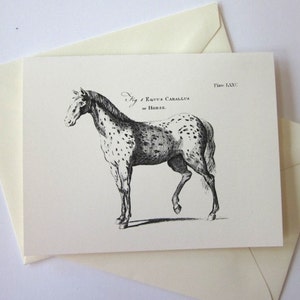 Spotted Horse Note Cards Stationery Set of 10 Cards in White or Light Ivory with Matching Envelopes