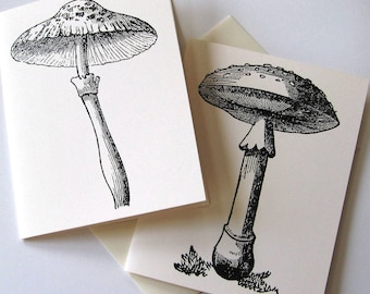 Mushroom Note Cards Set of 10 in White or Ivory with Matching Envelopes