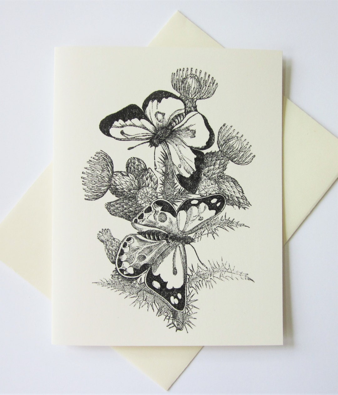 Butterfly Succulent Botanical Note Cards Stationery Set of 10 Cards in ...
