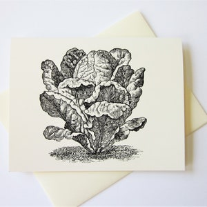 Cabbage Lettuce Note Cards Stationery Set of 10 Cards in White or Light Ivory with Matching Envelopes