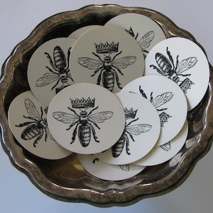 Può includere: Un set di dieci sottobicchieri rotondi bianchi con illustrazioni di api in bianco e nero. Ogni sottobicchiere presenta un'ape con una corona in testa e le parole "Queen Bee" stampate sul sottobicchiere.