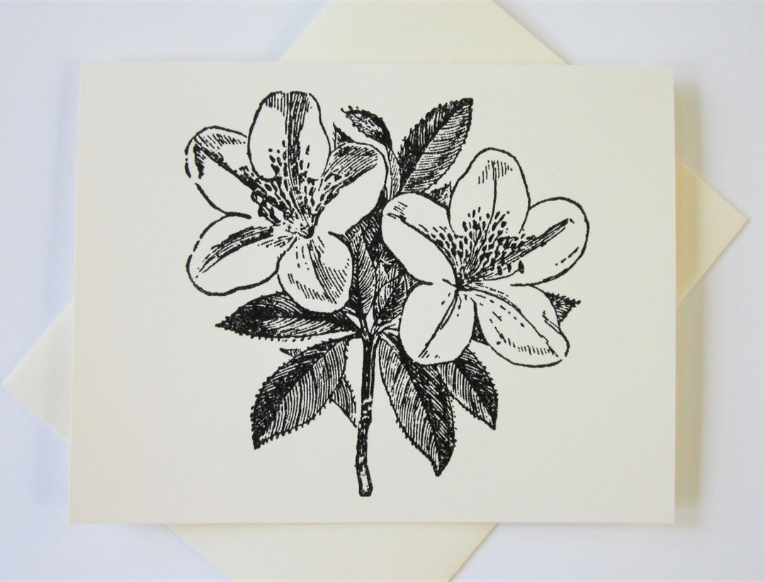 Azalea Flower Note Cards Stationery Set of 10 Cards in White or Light ...