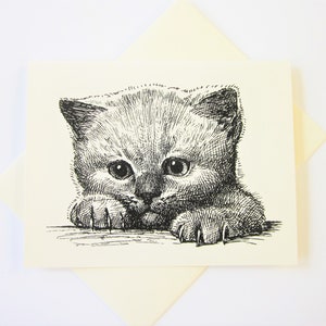 Kitten Cat Note Cards Stationery Set of 10 Cards