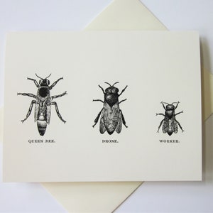 May include: A black and white illustration of three bees, labeled "Queen Bee", "Drone", and "Worker".