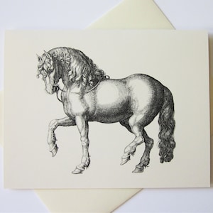 Horse Note Cards Stationery Set of 10 Cards in White or Light Ivory with Matching Envelopes
