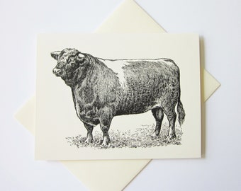 Bull Note Card Set of 10 in White or Light Ivory with Matching Envelopes