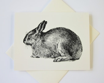 Conjunto de tarjetas Rabbit Note de 10 con sobres a juego
