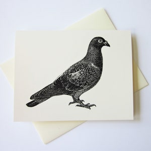 Pigeon Bird Note Card Set of 10 in White or Light Ivory with Matching Envelopes