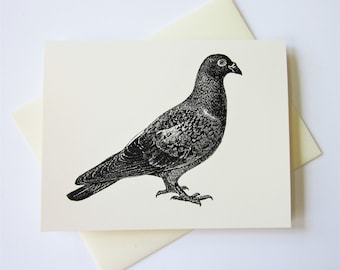 Pigeon Bird Note Card Set of 10 in White or Light Ivory with Matching Envelopes