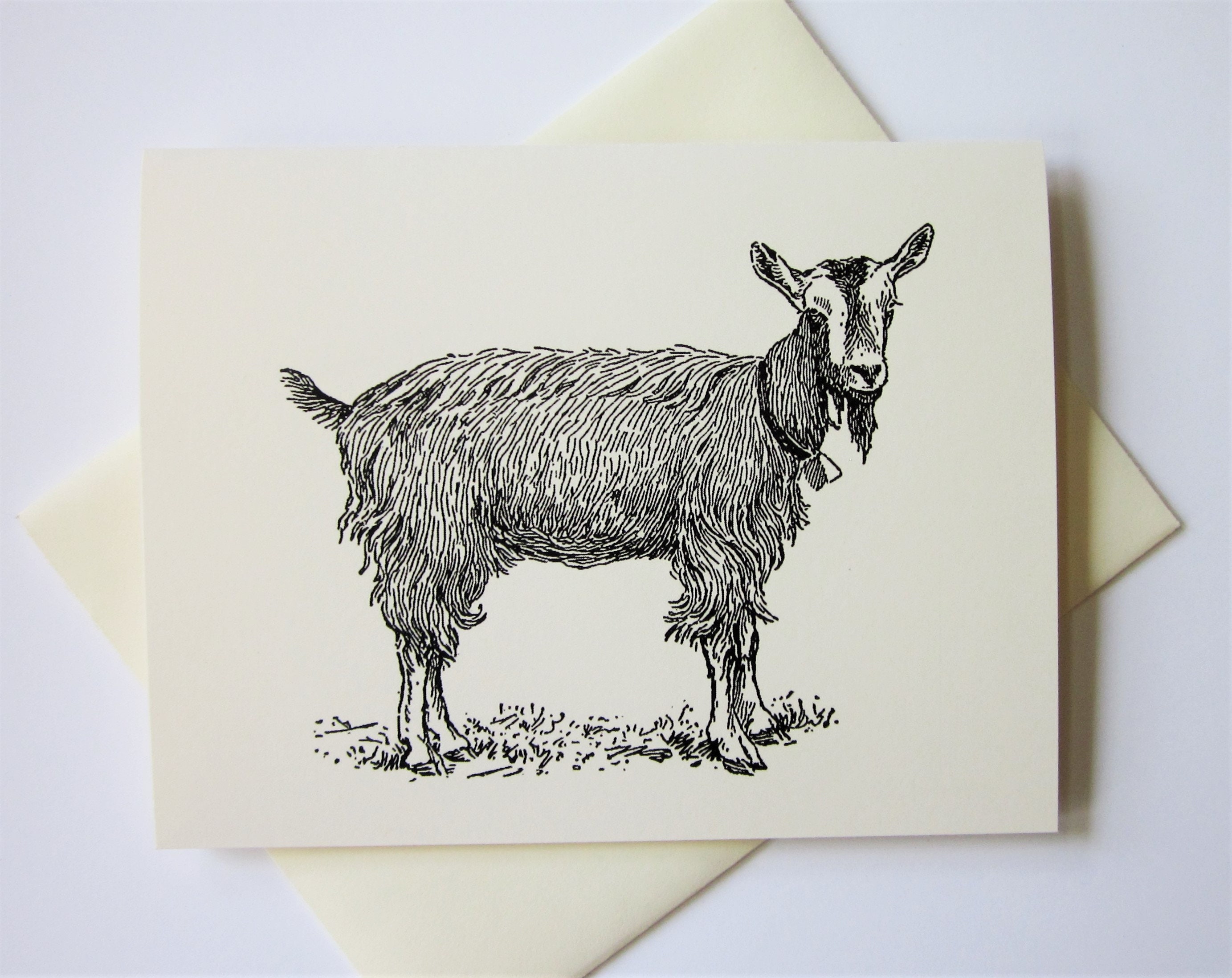 Goat Notes Notecards Set NEW 