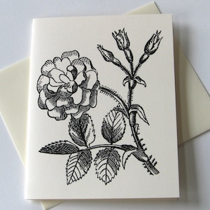 Rose Note Cards Stationery Set of 10 Cards in White or Light Ivory with Matching Envelopes