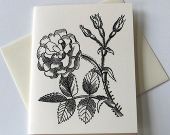 Rose Note Cards Cartoleria Set di 10 carte in bianco o avorio chiaro con buste abbinate