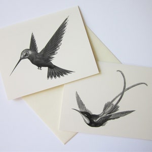 Hummingbird Note Cards Set van 10 met bijpassende enveloppen