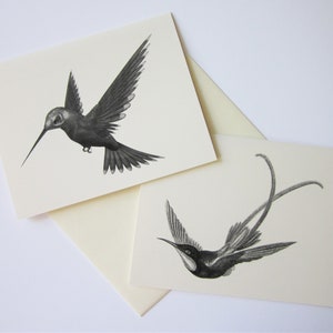 Hummingbird Note Cards Set of 10 with Matching Envelopes