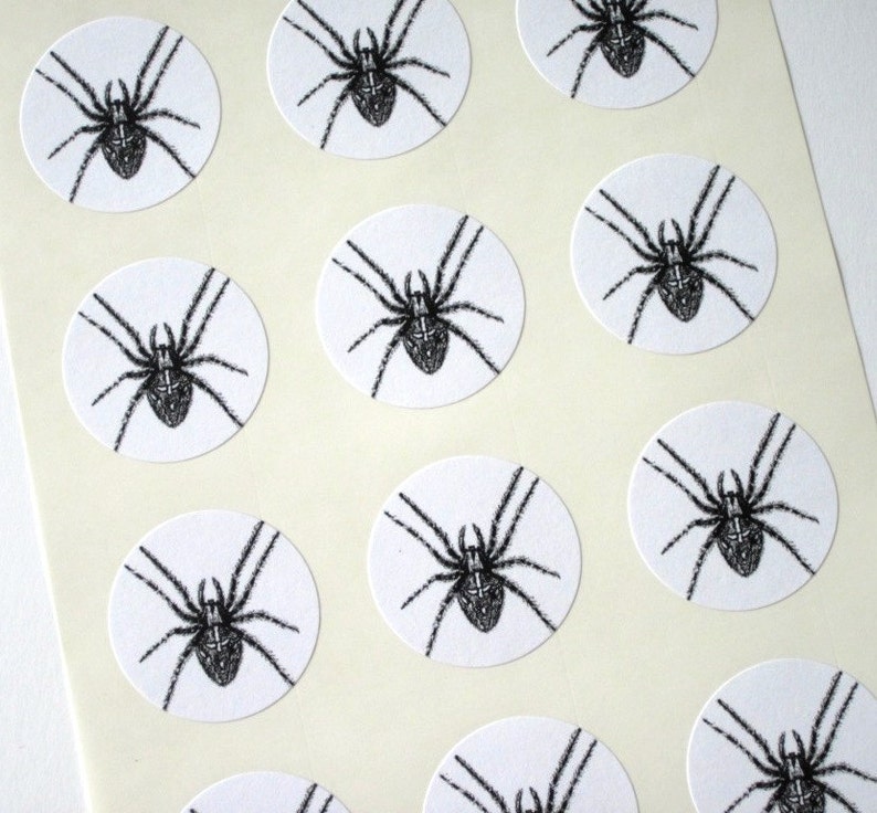 Spider Stickers One Inch Round Seals - Etsy