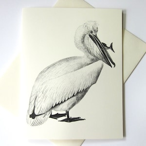 Pelican Note Cards Ensemble de 10 avec enveloppes assorties