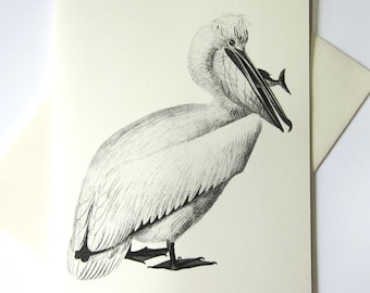 Pelican Note Cards Set of 10 with Matching Envelopes