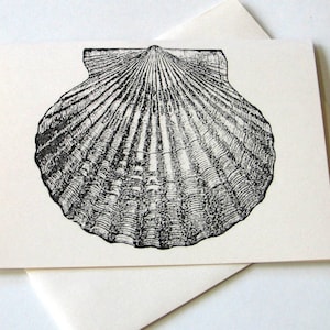 Scalloped Shell Note Cards Stationery Set of 4 Cards in White or Light Ivory with Matching Envelopes