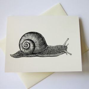 Jeu de cartes de notes d’escargot de 10 avec enveloppes assorties