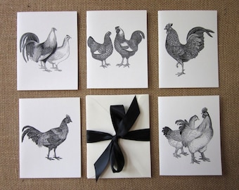 Conjunto de 10 cartões de notas de frango com envelopes correspondentes