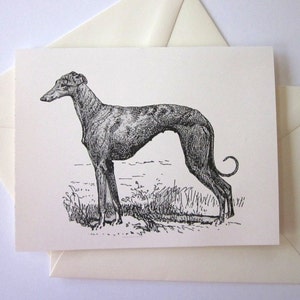 Whippet Greyhound Dog Note Cards Ensemble de 10 avec enveloppes assorties