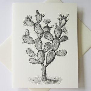 Cactus Nota Tarjetas Papelería Set de 10 Cartas en Blanco o Marfil Ligero con Sobres a Juego
