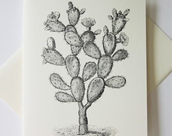 Cactus Note Cards Stationery Set of 10 Cards in White or Light Ivory with Matching Envelopes