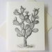 see more listings in the Note Cards, Stationery section