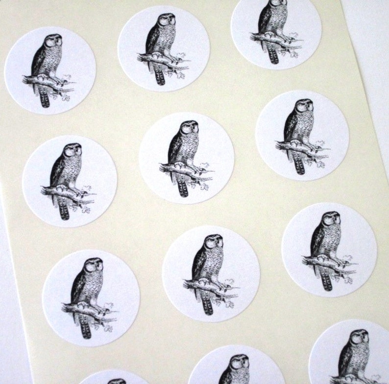Owl Stickers One Inch Round Seals image 1
