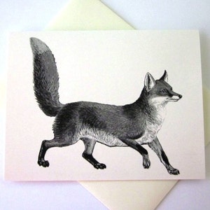 Fox Note Card Set de 10 en ivoire blanc ou léger avec enveloppes assorties