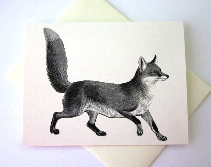 Fox Note Cards Stationery Set of 10 Cards in White or Light Etsy